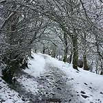 Nyaraló La'al Yam Sedbergh