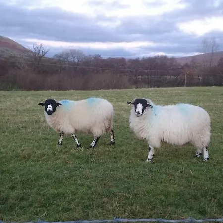 La'al Yam * Sedbergh